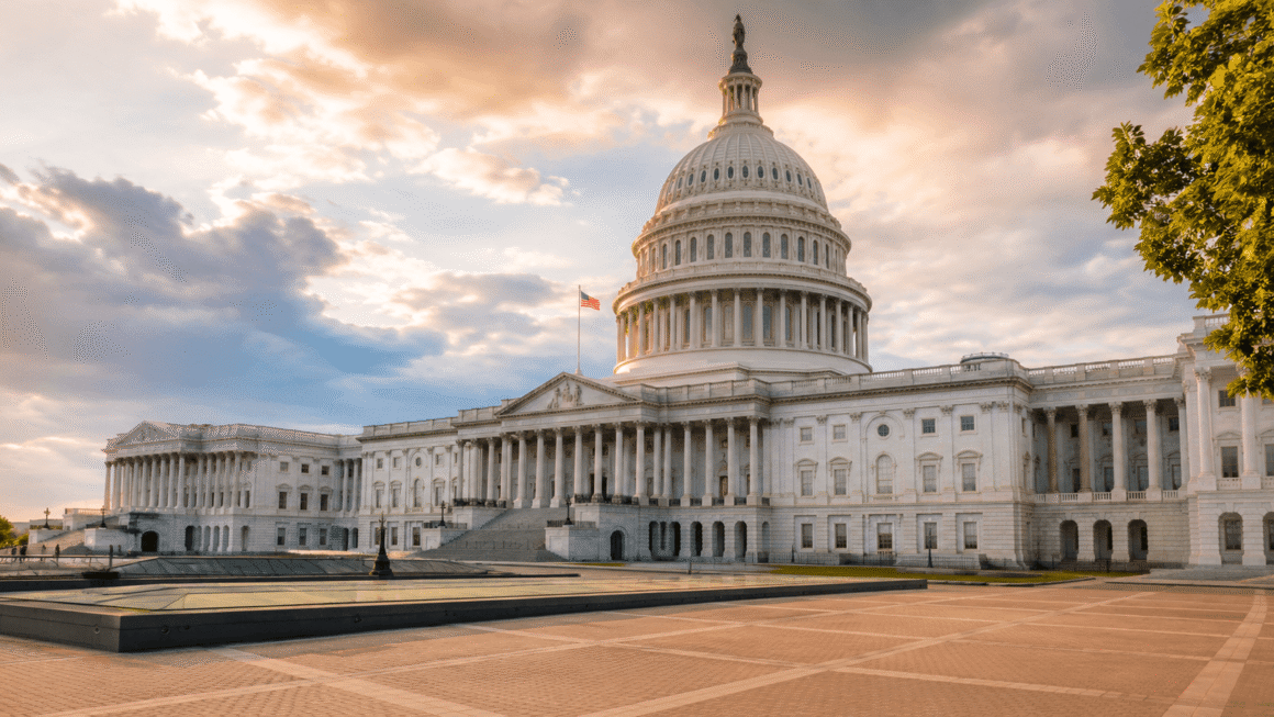 How Congress Works: Understanding the House, the Senate, and the Legislative Process