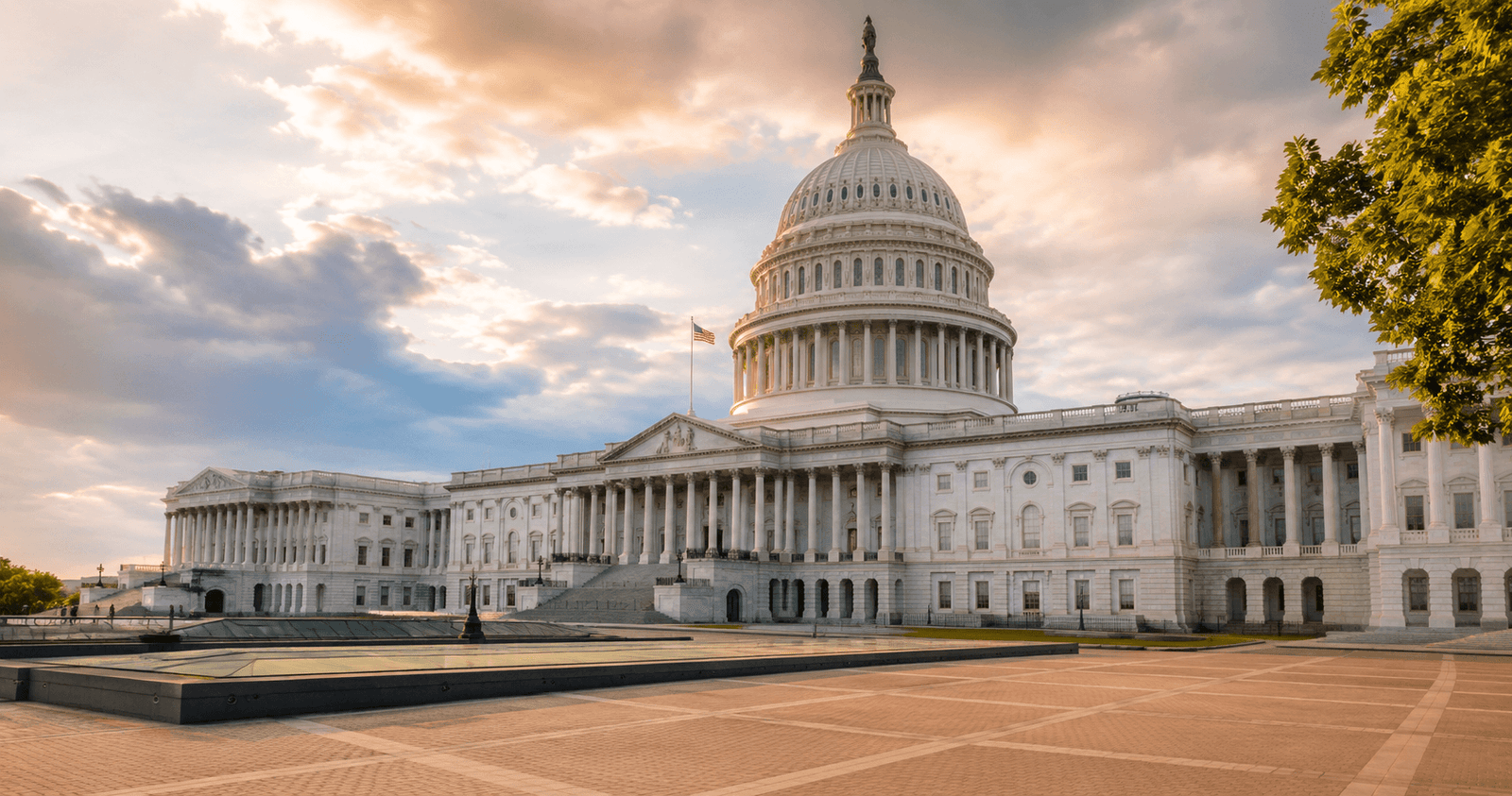 Congress Works